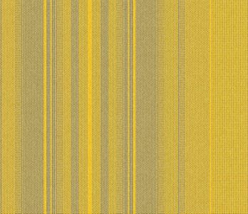 320251