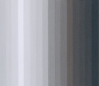 338803